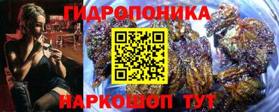 дурь Гусиноозёрск