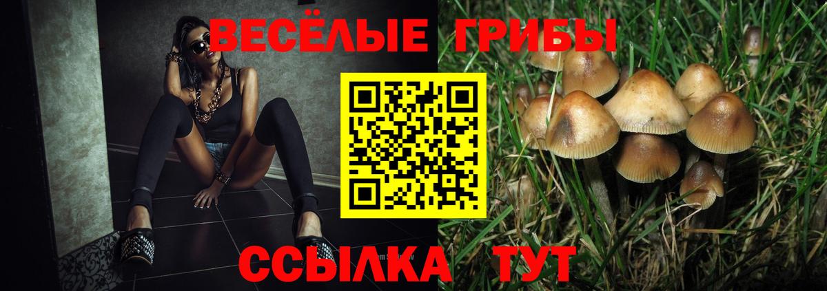 Псилоцибиновые грибы MAGIC MUSHROOMS Йошкар-Ола